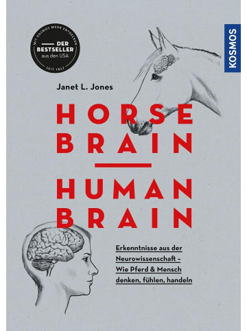 Franckh-Kosmos Horse Brain, Human Brain