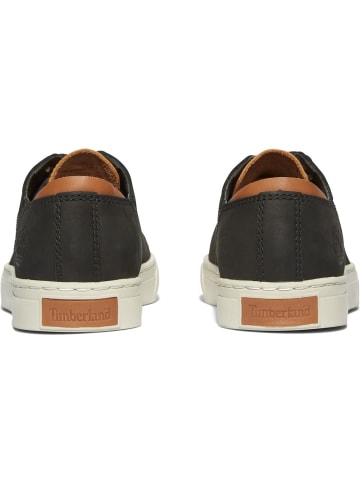 Timberland Sneaker "Adventure 2.0" in Schwarz