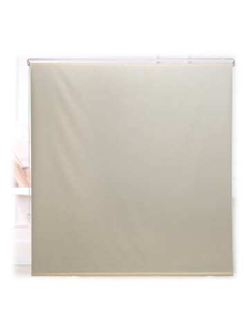 relaxdays Duschrollo in Beige - (B)160 x (H)240 cm