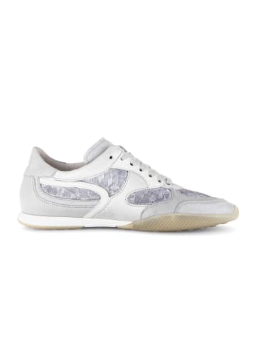 Gabor Sneaker low in grau