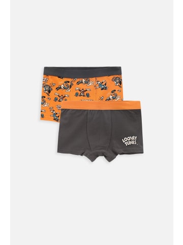 Coccodrillo Unterhose in bunt