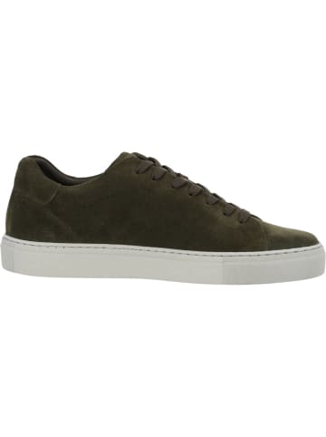 palado Sneakers in Green