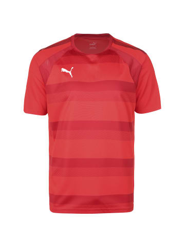 Puma Fußballtrikot teamVision in rot / weiß