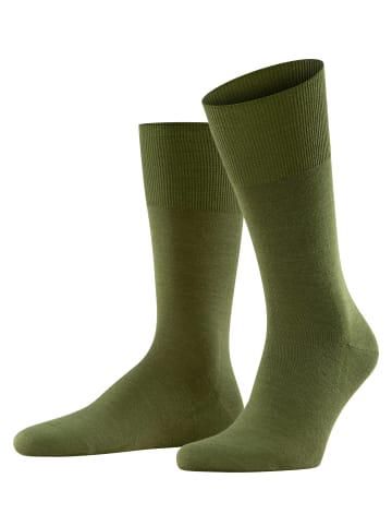 Falke Socken Airport in Forest