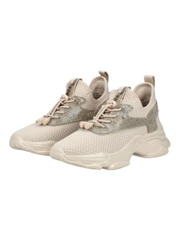 Steve Madden Sneaker in Sand