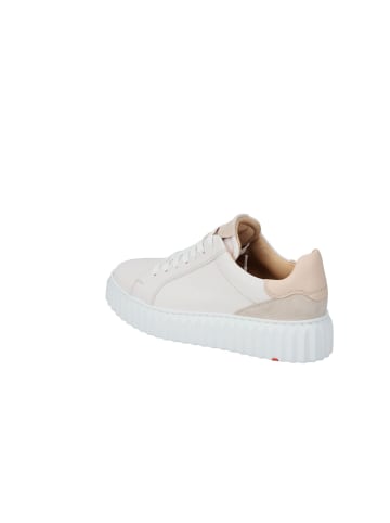 LLOYD Lowtop Sneaker Lloyd Sneaker in CHALK/DESERT