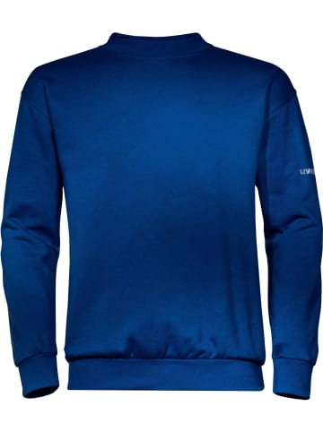 Uvex Pullover in Blau