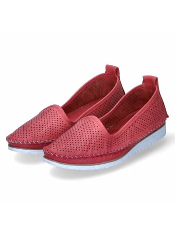 Andrea Conti Slipper in Rot