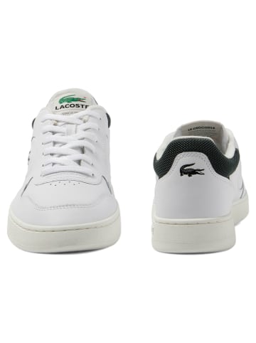 Lacoste Sneaker in Weiß/Grün