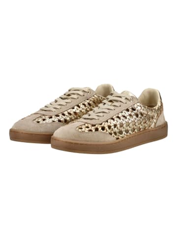Gioseppo Sneaker in Gold