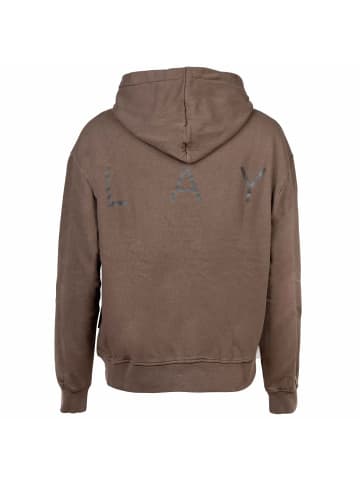 Replay Sweatshirt in Grün