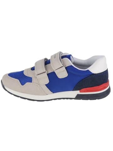 Tommy Hilfiger Tommy Hilfiger Low Cut Velcro Sneaker in Grau