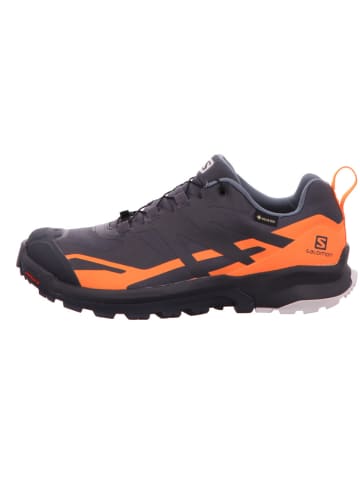 SALOMON Trekkingschuhe für Herren in grau
