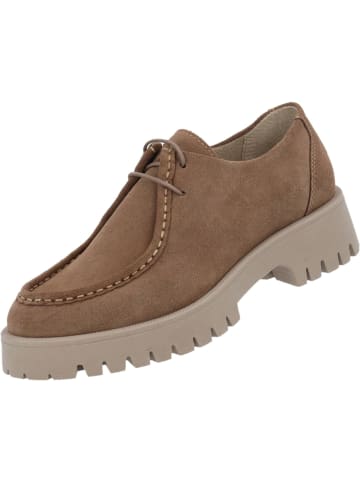 palado Schnürschuhe in totem taupe
