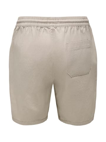 Only&Sons Shorts 'Tell Life 0119' in beige