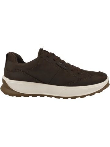 Ecco Sneaker low Byway 2.0 in braun