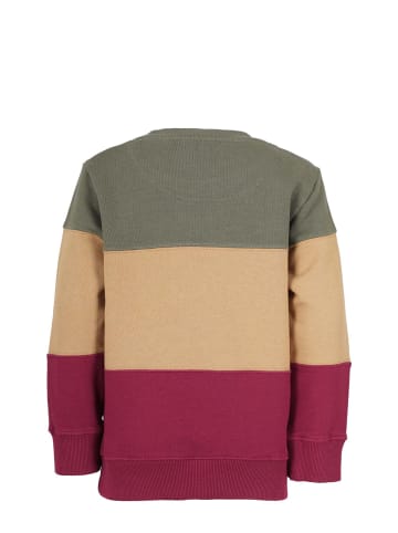 Band of Rascals Sweat " 3c Block " in olive-bordeaux