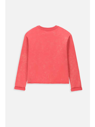 Coccodrillo Sweatshirt in rot