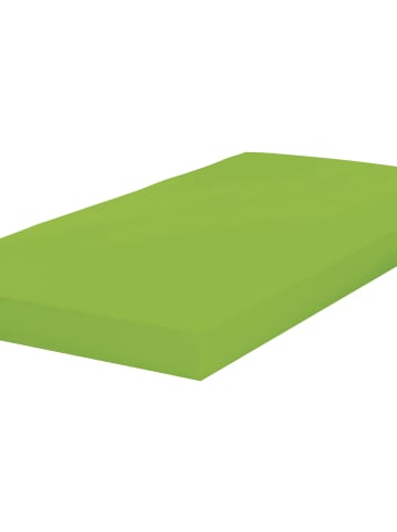 Erwin Müller Single-Jersey Spannbettlaken wasserdicht Sassnitz in grün