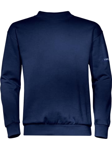 Uvex Pullover in Blau