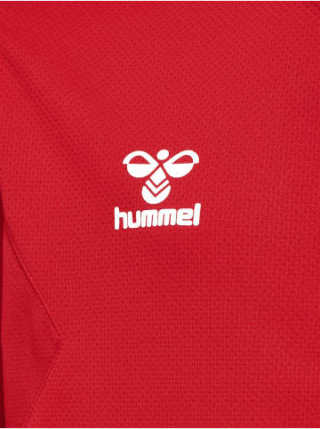 Hummel Hummel Reißverschluss Jacke Hmlauthentic Kinder in TRUE RED
