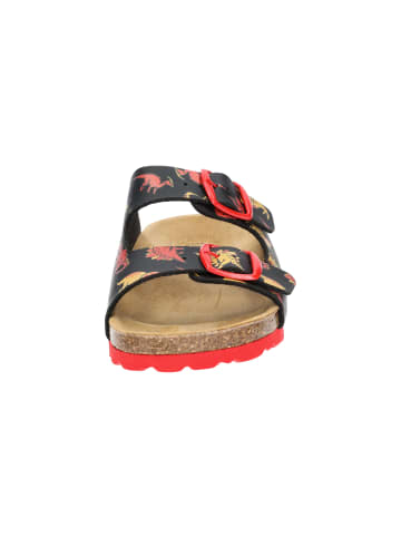 Lico Pantolette "Bioline Universe" in Schwarz