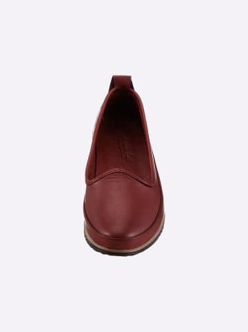 Andrea Conti Slipper in bordeaux