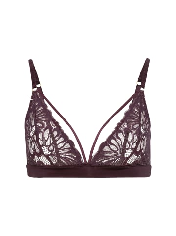 LSCN BY LASCANA Bralette in aubergine