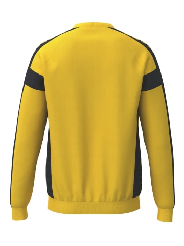 erima Kinder Sweatshirt GK in gelb/schwarz