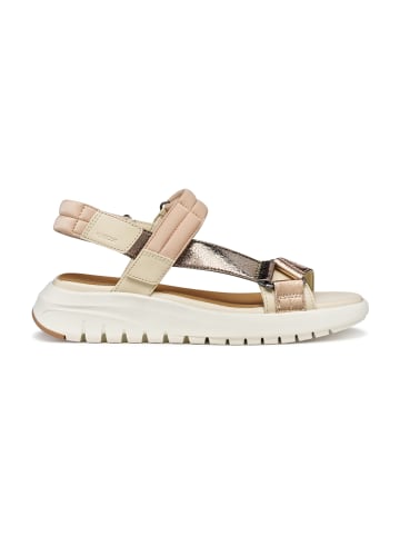 Geox Trekkingsandalen in Beige