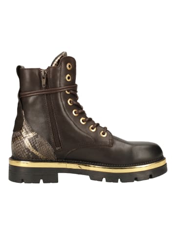 Replay Stiefelette in Braun/Gold