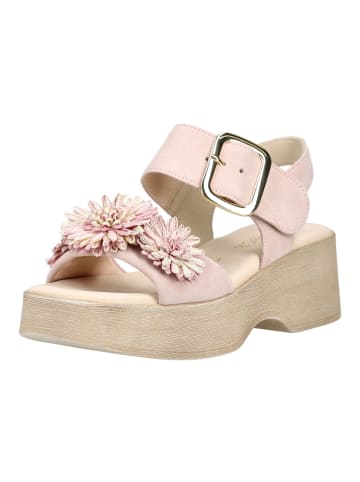 Gabor Sandalen in Rosa