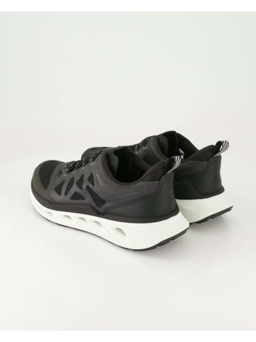 Ecco Sneaker low in Schwarz