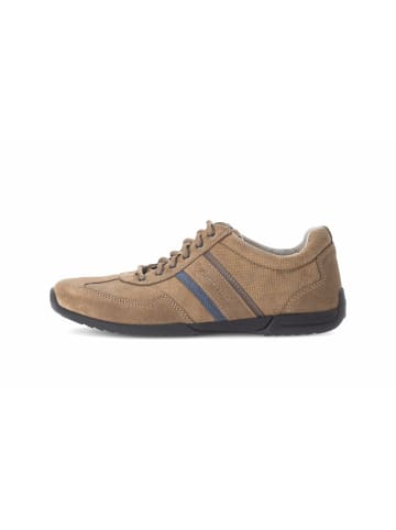 Pius Gabor Sneaker für Herren in braun