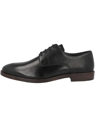 McGregor Schnürschuhe 623492 in schwarz