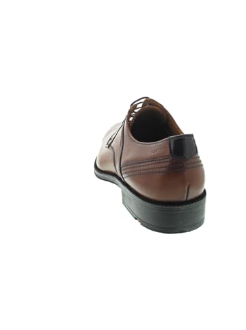 LLOYD Gala Business Schuh Braun