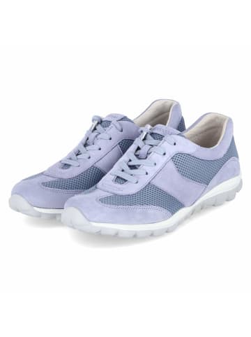 Gabor Low Sneaker in Blau