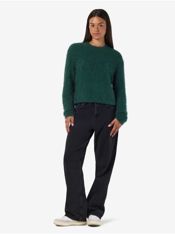 Noisy may Strickpullover in Ponderosa Pine