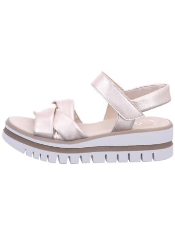 Gabor Komfort Sandalen für Damen in nude