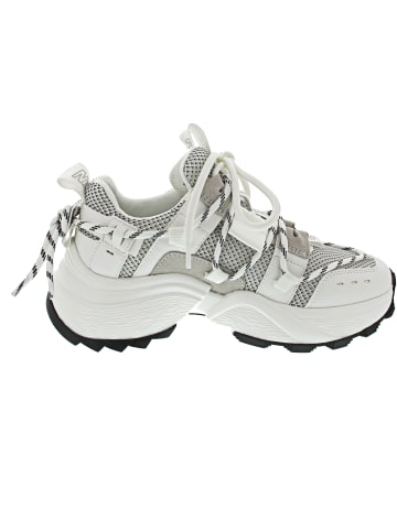Steve Madden Tazmania Sneaker Weiß