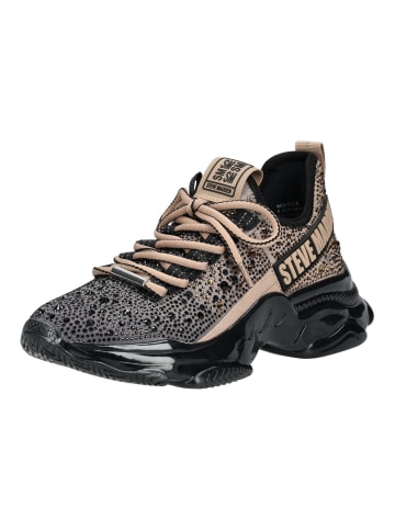Steve Madden Sneaker in Schwarz/Bronze
