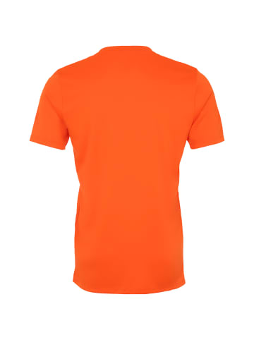 Nike Performance Trikot Park VI in orange / schwarz