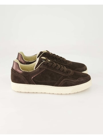 Sioux Sneaker low in Braun