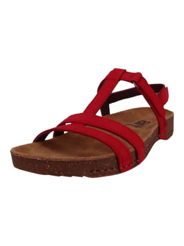 Art in the City  Sandalen rot