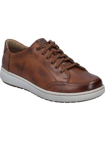 Josef Seibel Sneaker David 03 in cognac-kombi