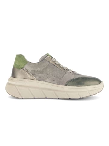 Gabor Sneaker low in multicolour