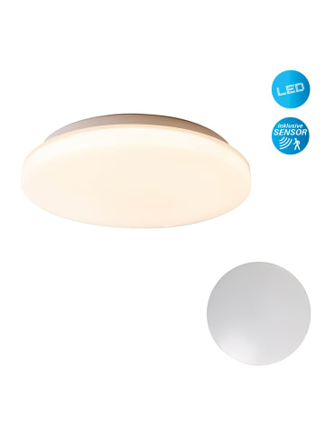 näve LED Deckenleuchte "FONTANA" in weiß - (L)29 cm x (B)29 cm x (H)6 cm - EEK E