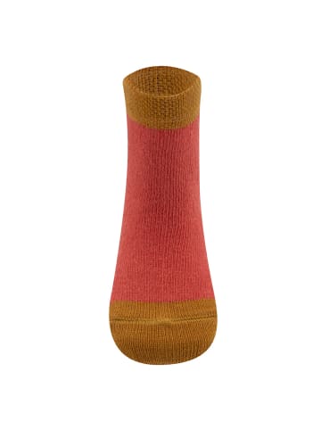 ewers 3er-Set Socken 3er-Set Dachs in grau