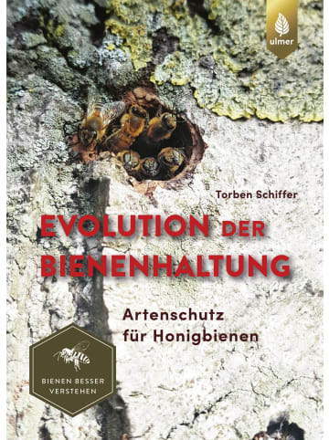 Ulmer Evolution der Bienenhaltung