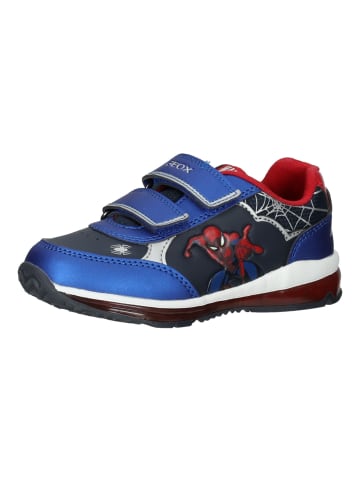 Geox Sneaker in Navy/Rot